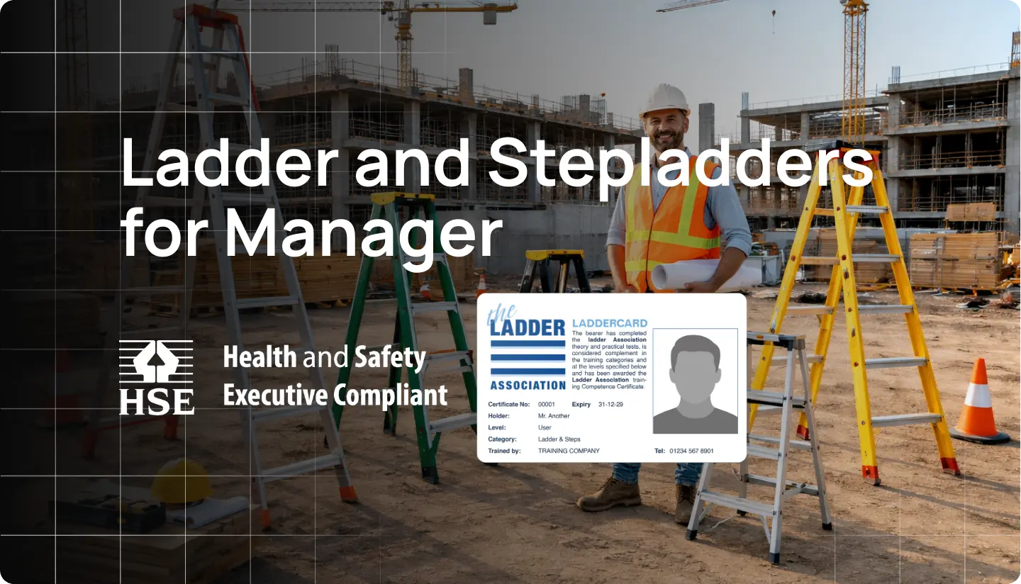 Ladders and Stepladders for Managers